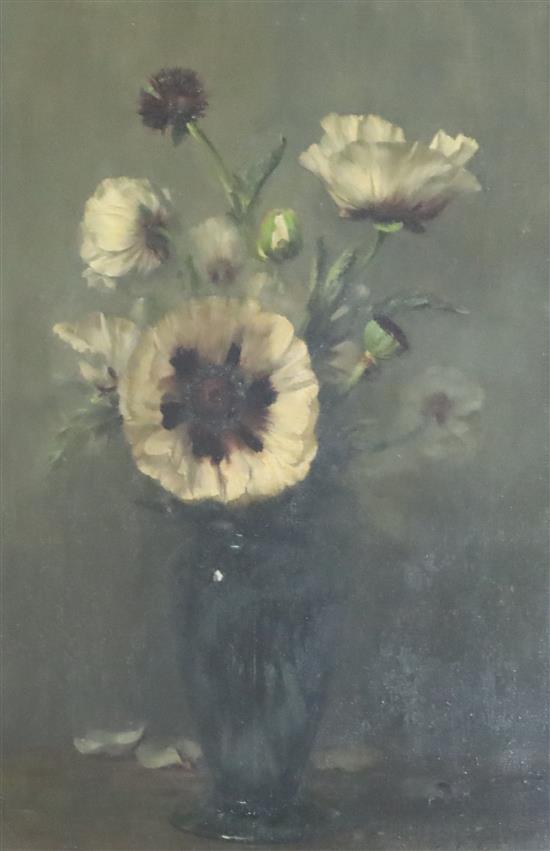 § Alfred William Frederick Hayward (1856-1939) Oriental Poppies 20 x 14in.
